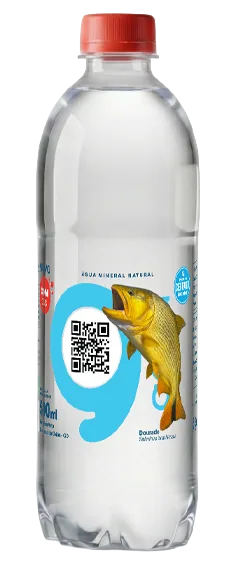 Garrafa Goyá com o rótulo do Dourado e o QR Code