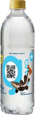 Garrafa 500ml Pirarara