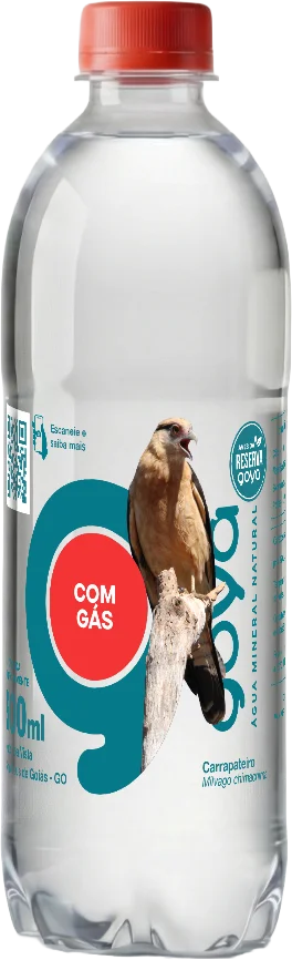 Garrafa Goyá 500ml, rótulo Carrapateiro