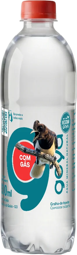 Garrafa Goyá 500ml, rótulo Gralha-de-topete