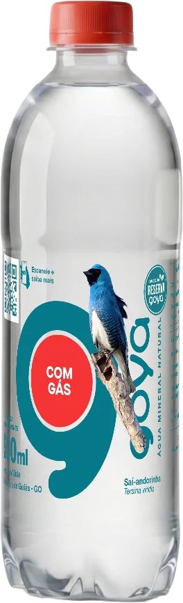 Garrafa Goyá 500ml, rótulo Saí-andorinha