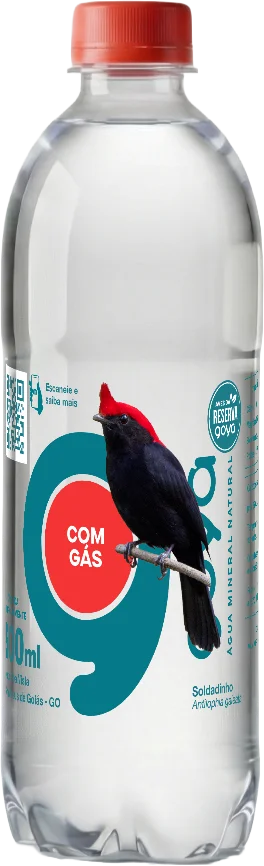 Garrafa Goyá 500ml, rótulo Soldadinho