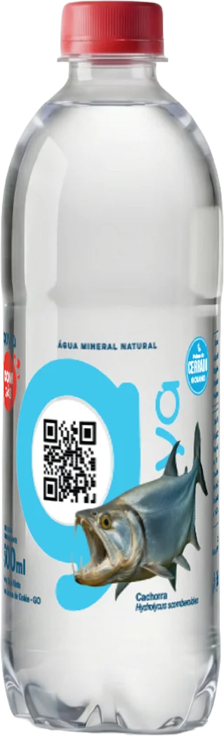 Garrafa Goyá 500ml, rótulo Cachorra