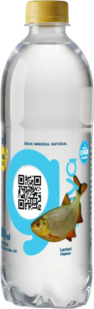 Garrafa Goyá 500ml, rótulo Lambari