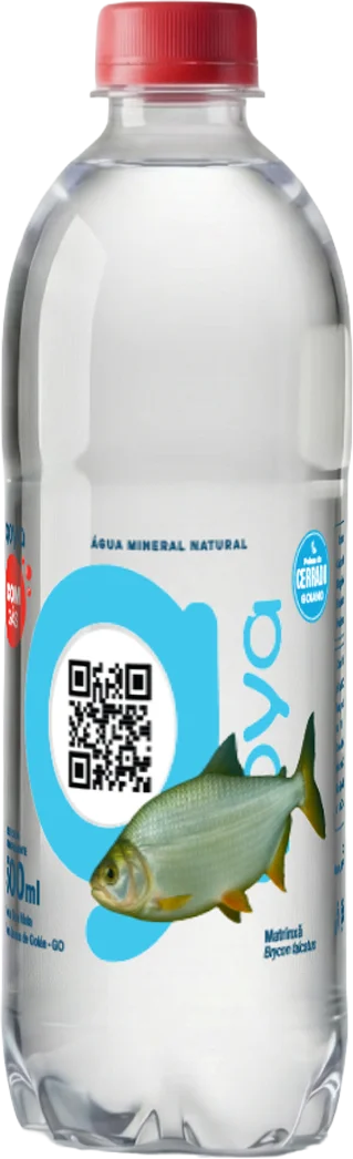 Garrafa Goyá 500ml, rótulo Matrinxã