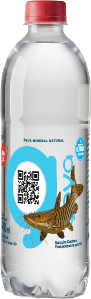 Garrafa Goyá 500ml, rótulo Surubim-cachara